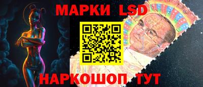 индика Ставрополь