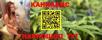 индика Ставрополь