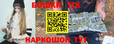 индика Татарск