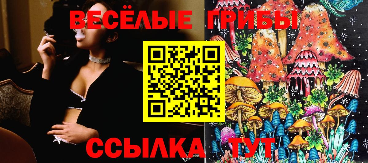 Галлюциногенные грибы прущие грибы  Вход с VPN  Павлово 